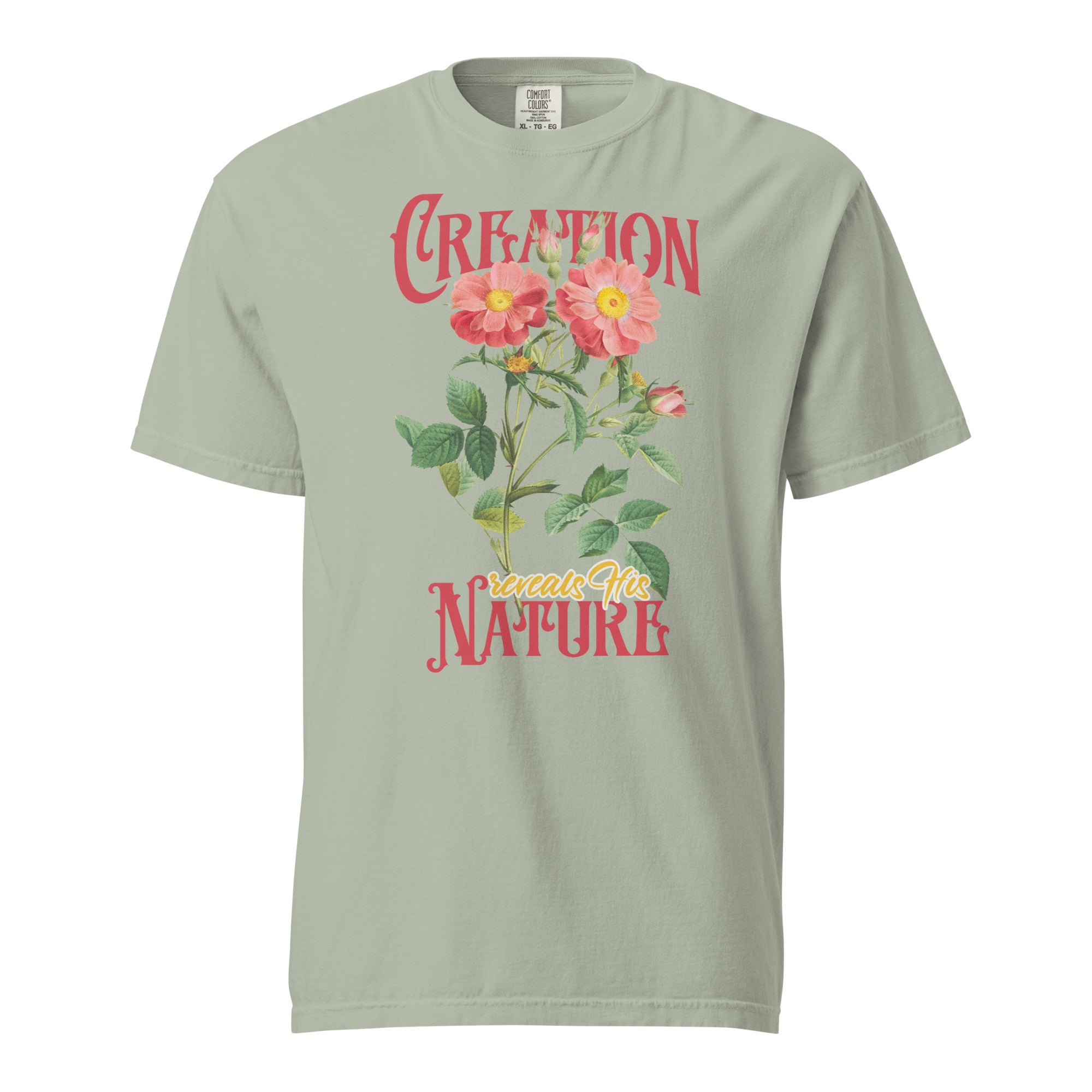 Creation Reveals His Nature — Wild Rose