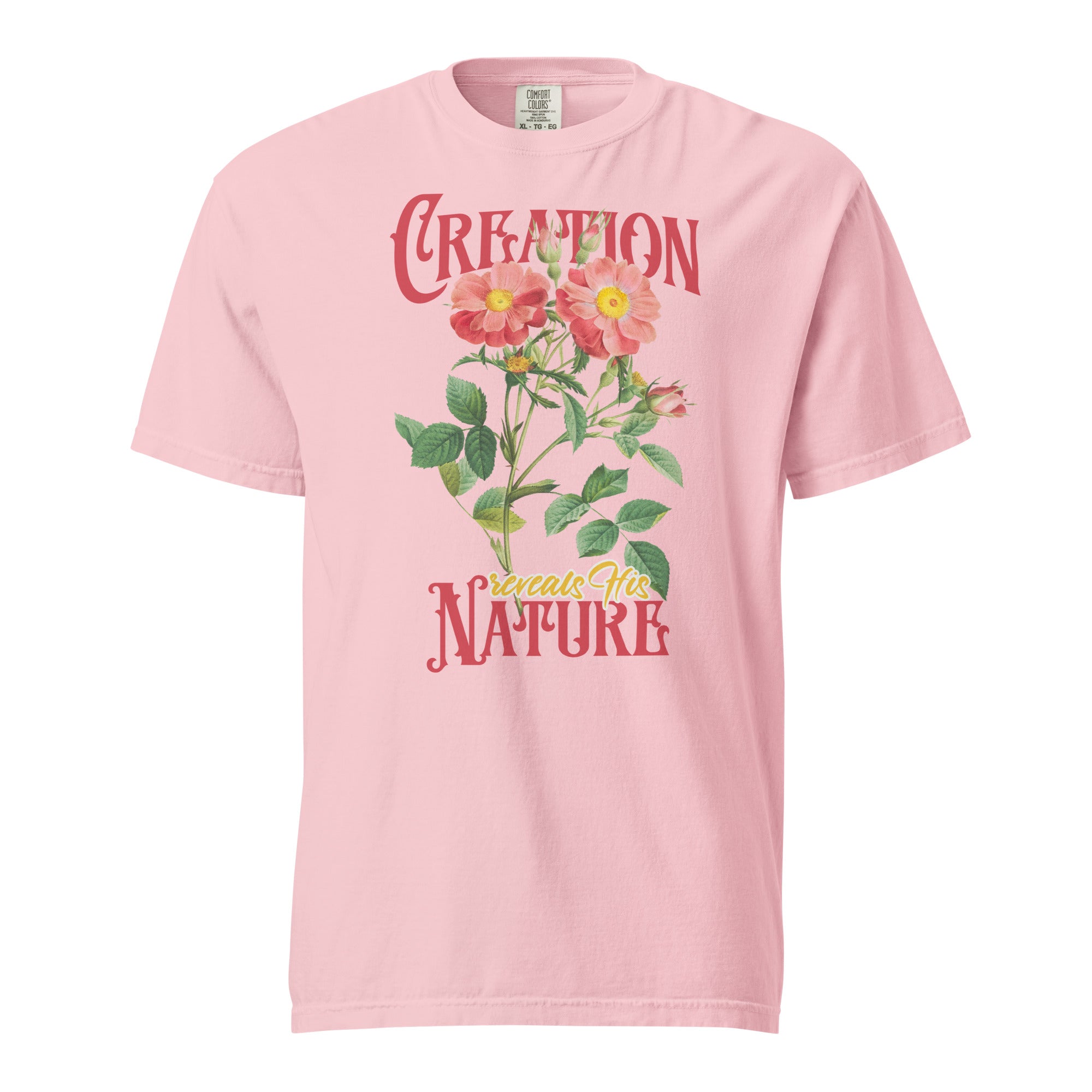 Creation Reveals His Nature — Wild Rose