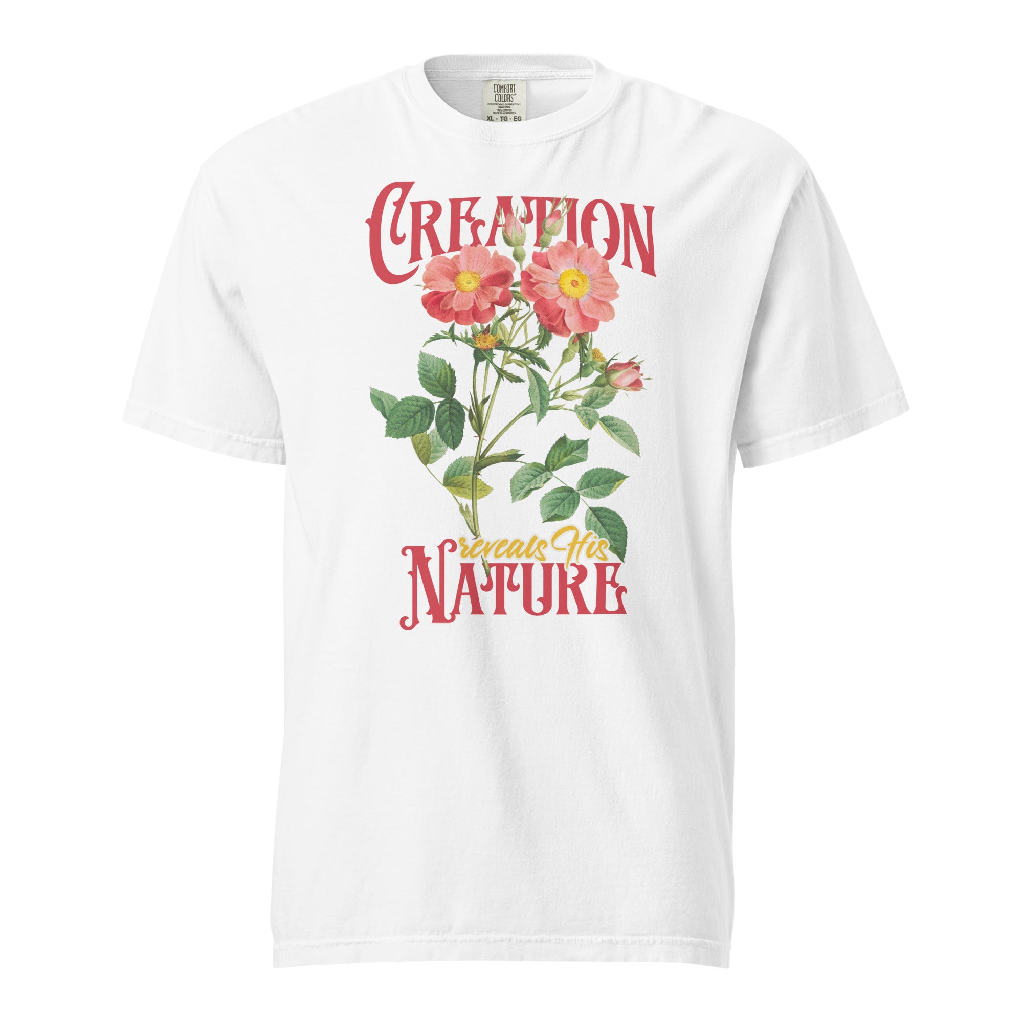 Creation Reveals His Nature — Wild Rose